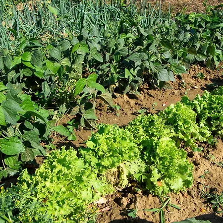 4 Bedroom Awesome In Casa de Férias