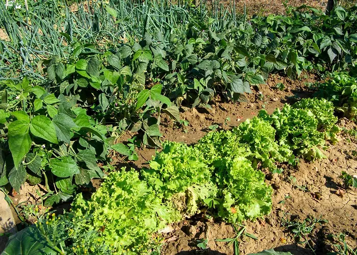 4 Bedroom Awesome In Σπίτι διακοπών