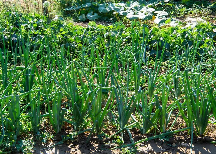 Σπίτι διακοπών 4 Bedroom Awesome In